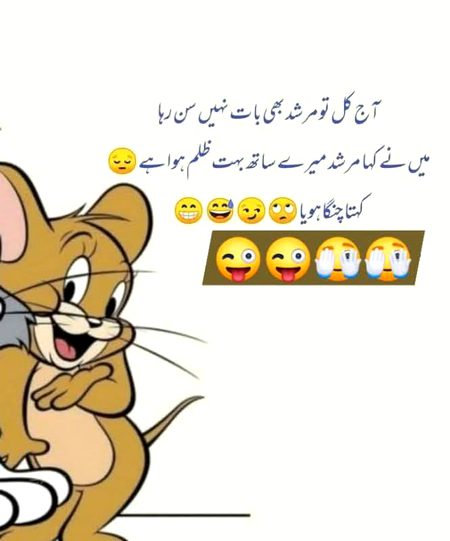Memes & Satire image