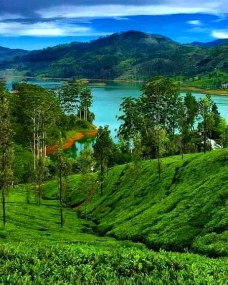 Beautiful Nature image