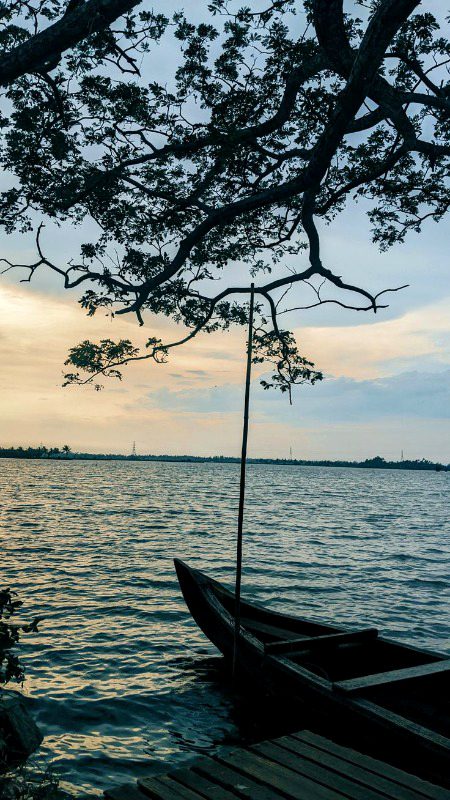 Beautiful Nature image