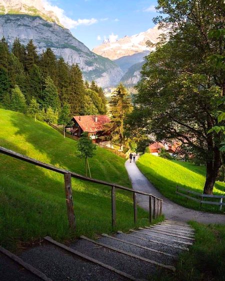 Beautiful Nature image