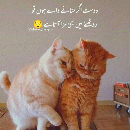 Meko koi manane Wala nhi 😏