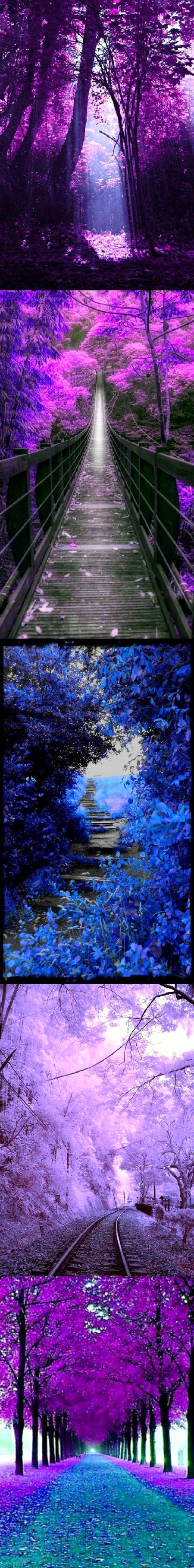 Beautiful Nature image