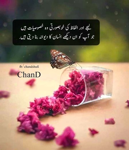 No Caption 🌺🌺