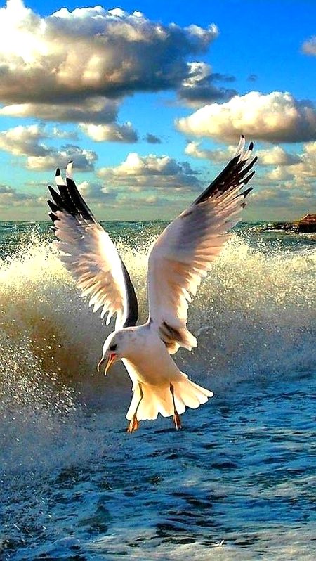 Beautiful Nature image