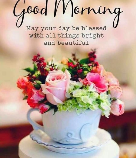 Hello friends how are you