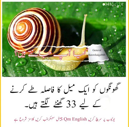 Interesting Posts image