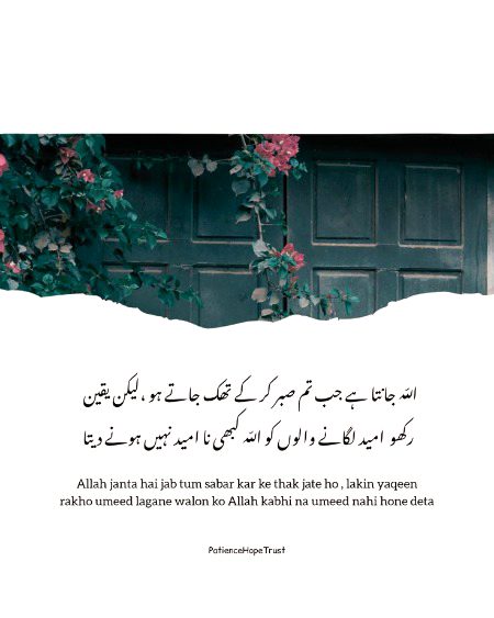 Motivational Quotes image