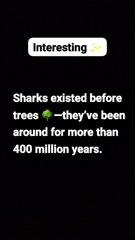 Interesting ✨