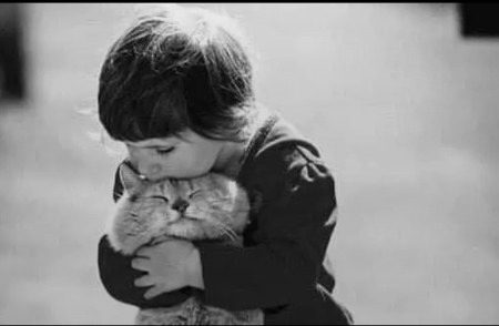 قبر جتنی بھی پرانی ہو جائیں مگر فاتحہ پڑھنے والوں کے دکھ تازہ ہی رہتے ہیں🖤✨