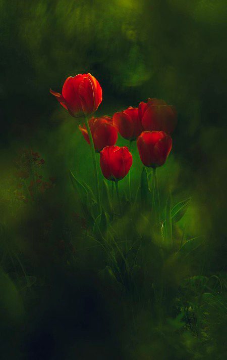 *انسان کتنا بھی مصروف ہو اگر رشتے اہمیت رکھتے ہیں*
*تو کہیں ناں کہیں سے وقت نکل ہی آتا ہے_❤🩹🫠*