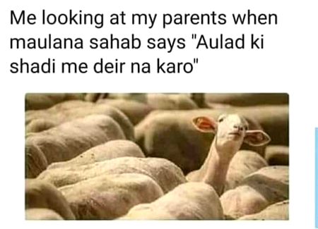 Memes & Satire image