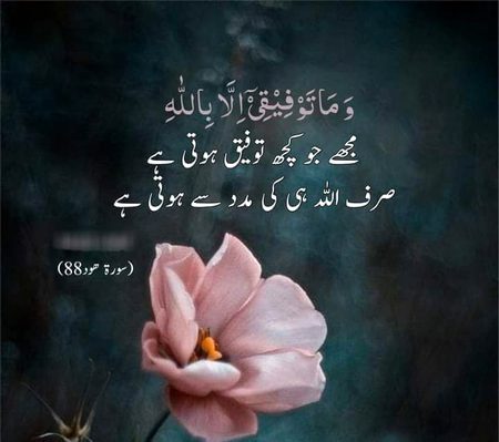 Islamic Quotes image