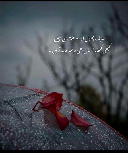 Sad Poetry image