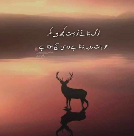 Attitude Quotes image