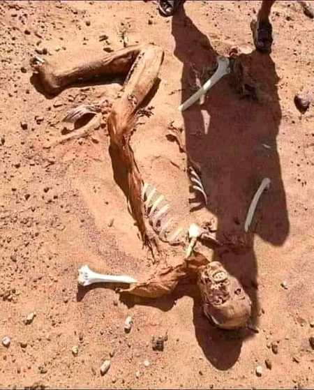 یہ ہے انسان کی اوقات اور باتیں اتنی بڑی اور وہ بھی تکبر کے ساتھ