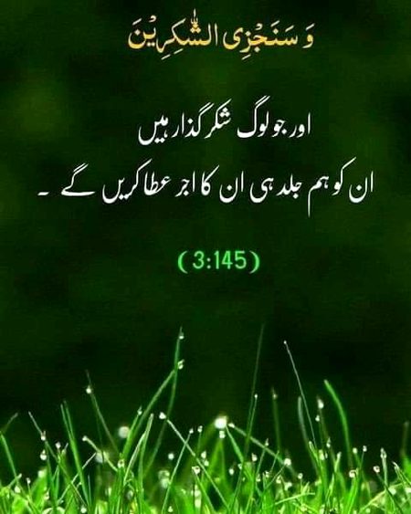 Islamic Quotes image