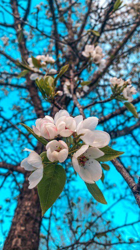 Beautiful Nature image