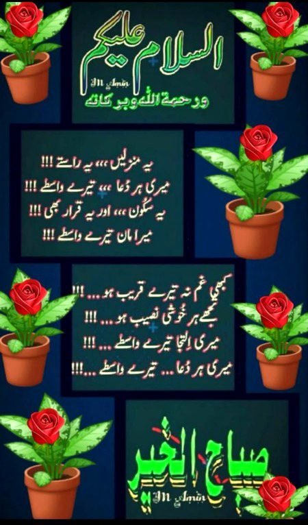 🌷❣️🌷❣️🌷❣️