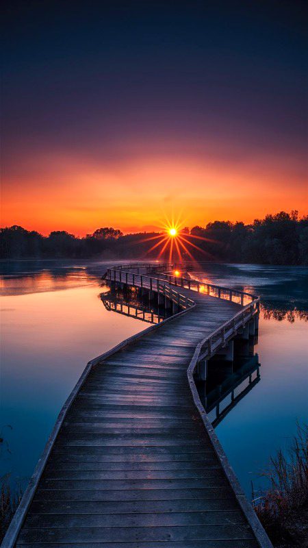 Beautiful Nature image
