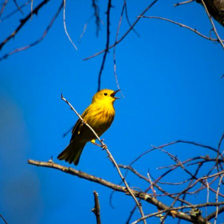 Beautiful Nature image