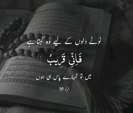 Indeed 💯💫