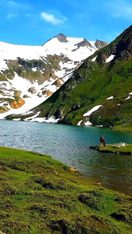 لالو سر🇵🇰 پاکستان زندہ باد 🇵🇰