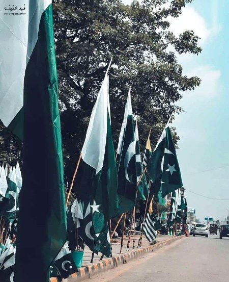 Happy independence day ❣️
