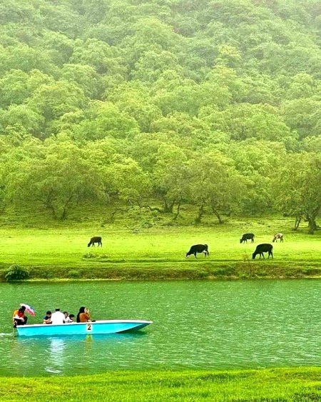 Beautiful Nature image