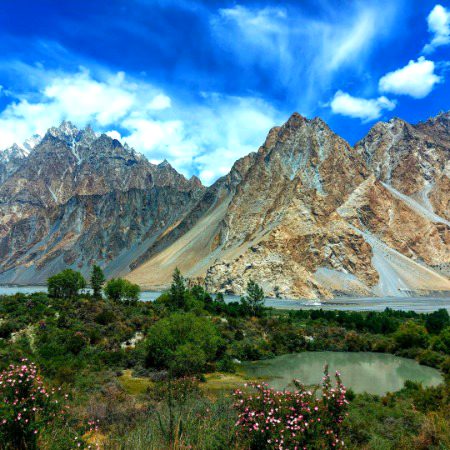 Beautiful Nature image