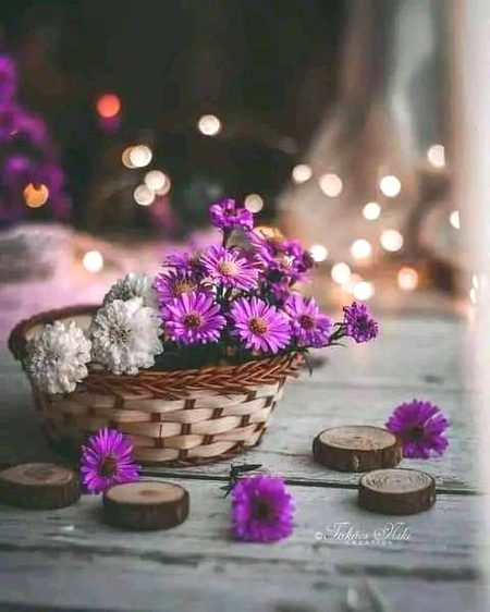 Beautiful Nature image