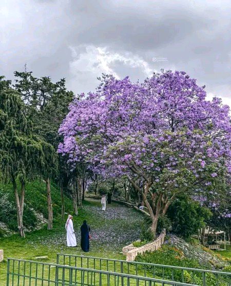 تم میری تخیل میں ہمیشہ میرے بن کر رہو گے,اس سے کیا فرق پڑتا ہمارا رابطہ ہے یا نہیں__!! 
#U🤍