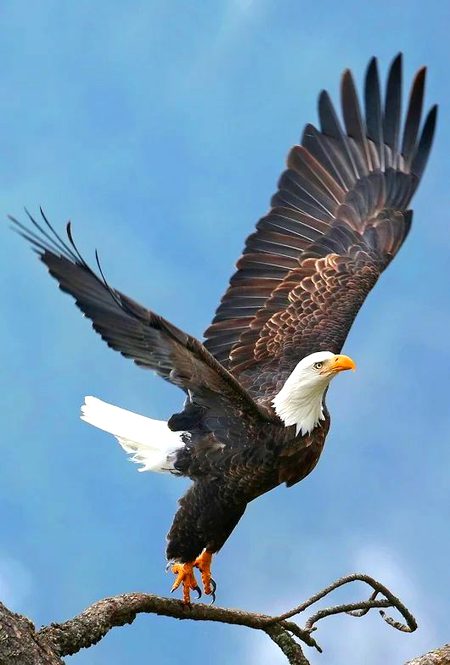 Beautiful Nature image