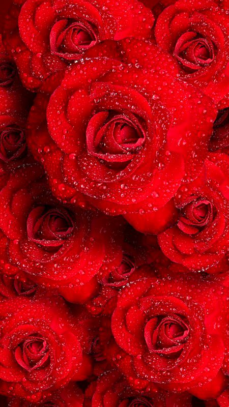 Beautiful Nature image