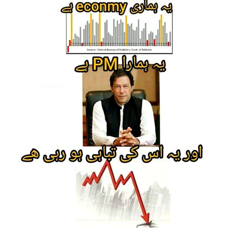 Memes & Satire image