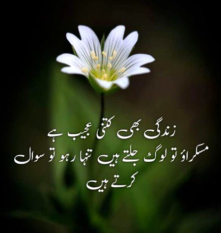 Logo ko kahen b sakun q nh milta S ji ❤️
