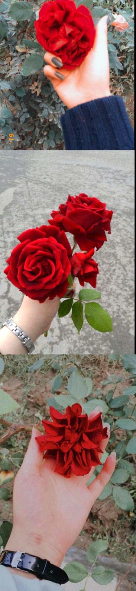 Beautiful Nature image