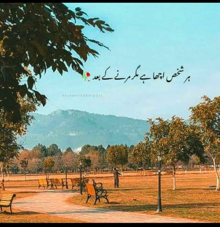 Bilkul 😥😥