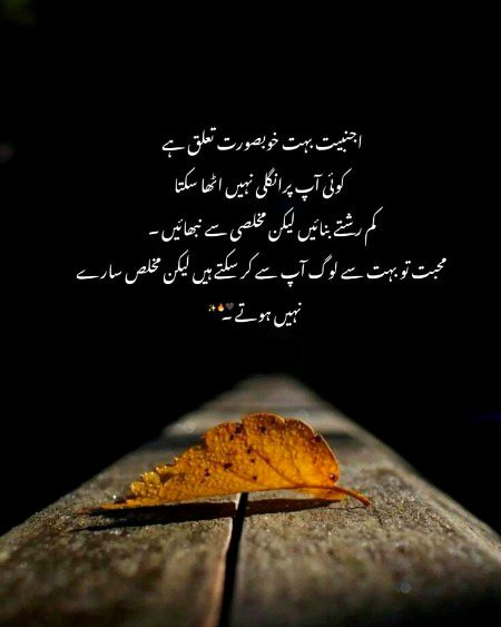 Motivational Quotes image