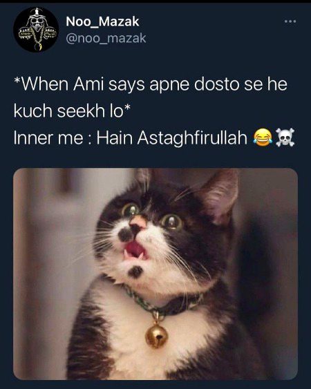 Memes & Satire image