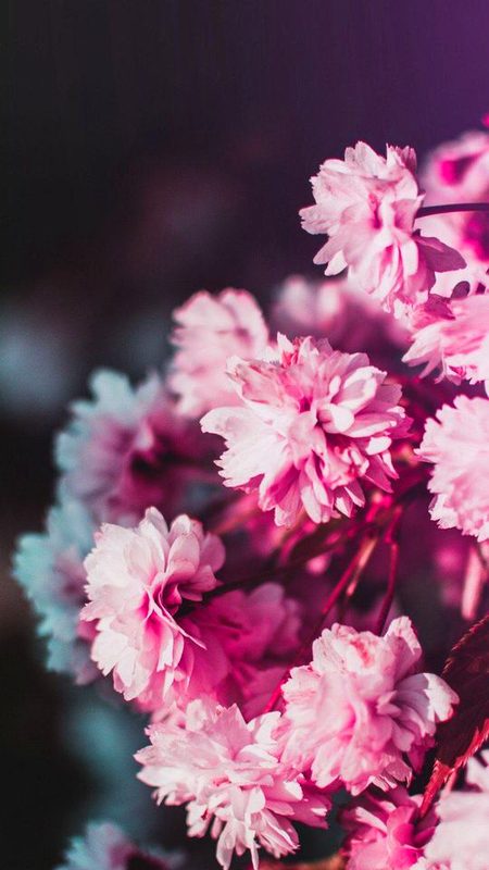 Beautiful Nature image