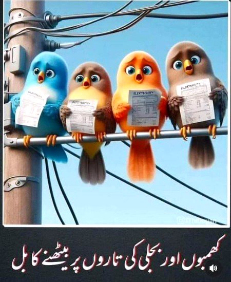 Memes & Satire image