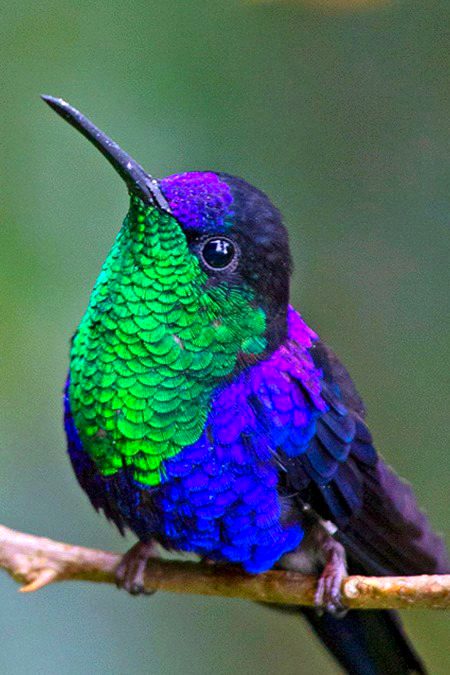 Beautiful Nature image