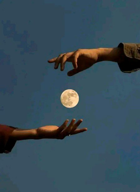 قدرت نے سب کو مُحبت سکھائی، لیکن انسان نے اس میں ملاوٹ کر لی! 🦢🖤