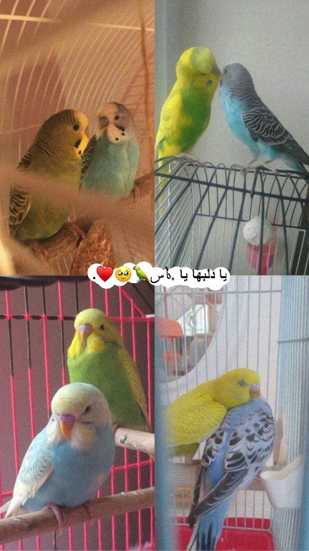 Beautiful Nature image