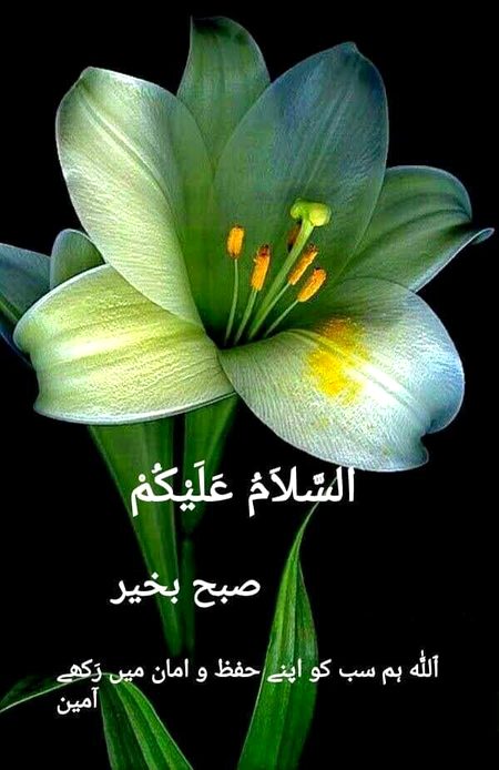 Good mrng