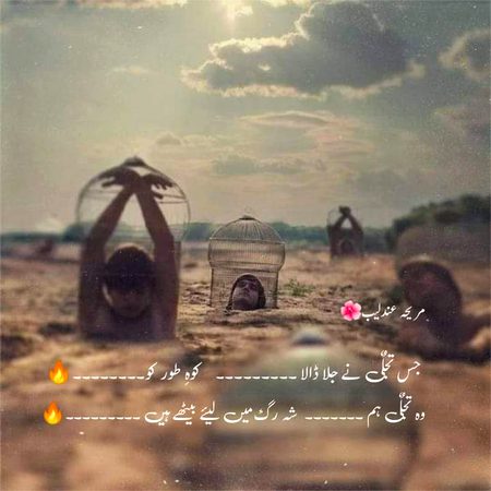 No caption