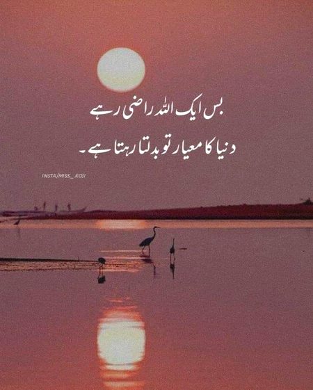 Nice words