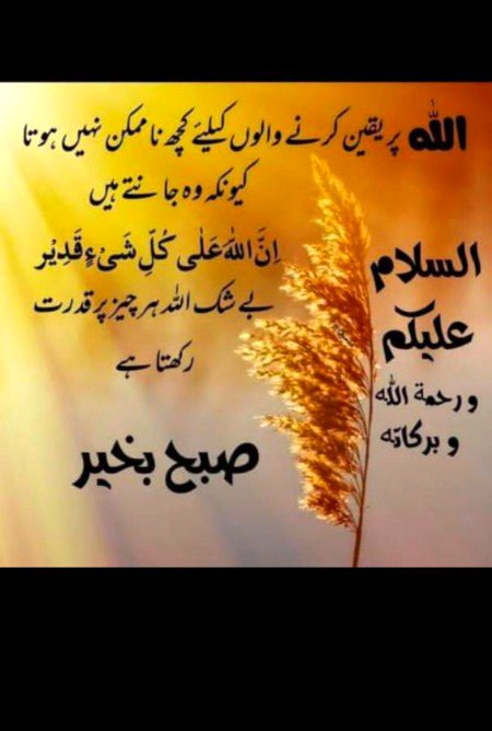 Islamic Quotes image