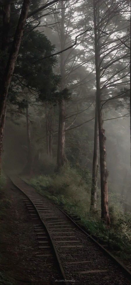 Beautiful Nature image