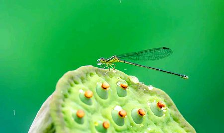 Beautiful Nature image